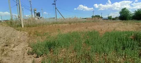 Участок в Волгоградская область, Среднеахтубинский район, Фрунзенское ...