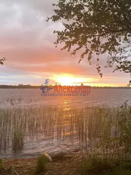 Участок в Ленинградская область, Выборгский район, Приморское ...