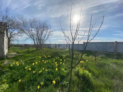 Участок в Крым, Ленинский район, Мысовское с/пос, с. Семеновка ул. ...