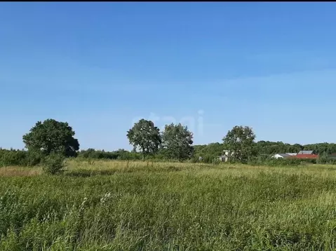 Участок в Калининградская область, Зеленоградск ул. Задорная (67.3 ...