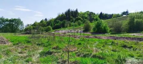 Участок в Воронежская область, Рамонский район, Березовское с/пос, д. ...