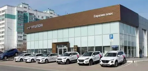 Помещение свободного назначения в Омская область, Омск ул. Димитрова, ...