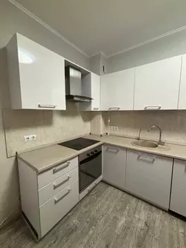 1-к кв. Свердловская область, Екатеринбург ул. Рябинина, 19 (43.1 м)