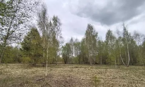 Участок в Московская область, Дмитровский муниципальный округ, д. ...