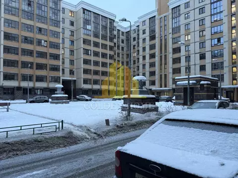 Студия Санкт-Петербург, Санкт-Петербург, Ломоносов Михайловская ул., ...