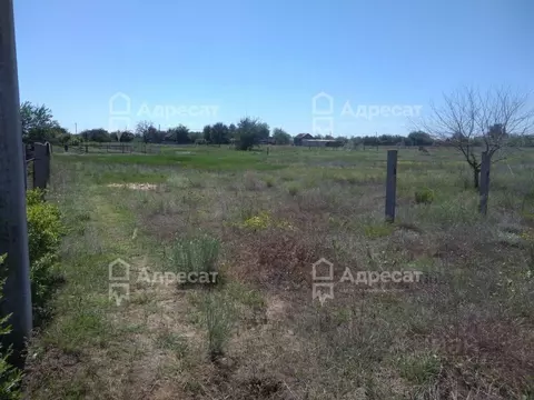 Участок в Волгоградская область, Среднеахтубинский район, Кировское ...