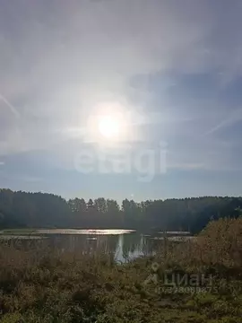 Участок в Ярославская область, Ярославский муниципальный округ, ...