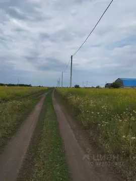 Участок в Омская область, Омский район, Магистральное с/пос, с. ...
