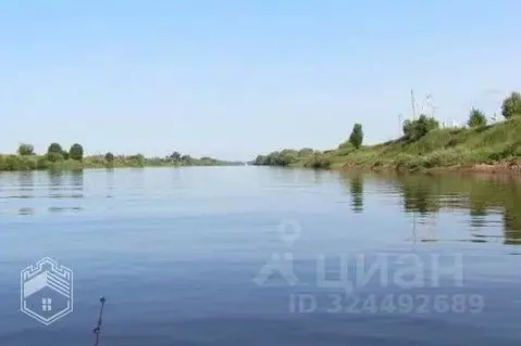 Участок в Новгородская область, Новгородский район, Савинское с/пос, ...