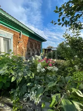 Дом в Алтай, Майминский район, с. Майма Советская ул., 182 (56 м)