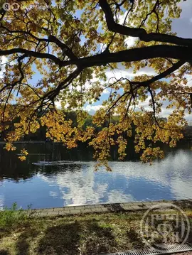 Участок в Оредежское сельское поселение, деревня Поддубье, Озёрная ...