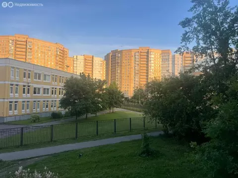 1-комнатная квартира: Санкт-Петербург, улица Турку, 29к1 (34.4 м)