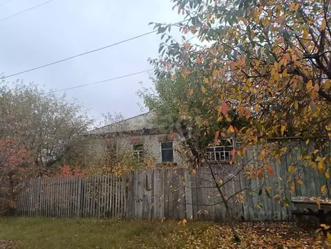 Дом в Белгородская область, Вейделевский район, с. Малакеево ул. ...