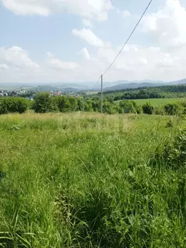 Участок в Алтайский край, Алтайский район, с. Алтайское ул. Зеленая ...