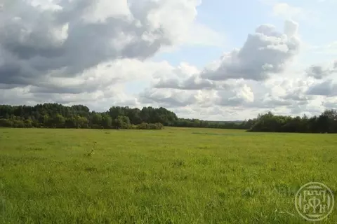 Участок в Ленинградская область, Выборгский район, Красносельское ...