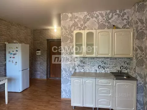 Студия Челябинская область, Сосновский муниципальный округ, с. ...