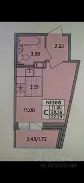 Студия Ленинградская область, Всеволожский район, д. Новое Девяткино ...