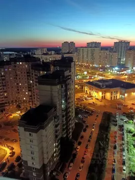 1-к кв. Санкт-Петербург Туристская ул., 15к2 (30.0 м)