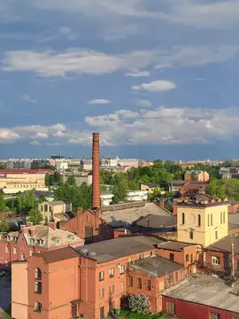 Студия Санкт-Петербург Уральская ул., 25 (25.0 м)