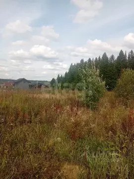 Участок в Пермский край, Пермский муниципальный округ, д. Мартьяново ...