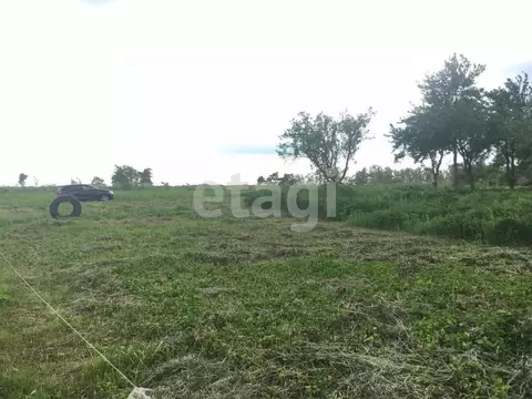 Участок в Брянская область, Брянский район, Мичуринское с/пос, ...