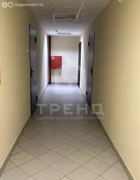 Квартира-студия: Санкт-Петербург, проспект Просвещения, 43 (25.2 м)
