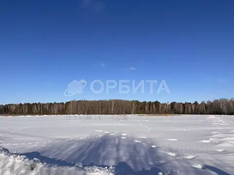 Участок в Тюменская область, Тюмень Антипино мкр,  (80.0 сот.)