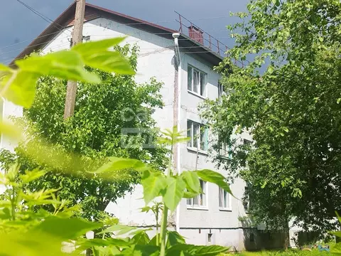 3-к кв. Брянская область, Брянский район, Новосельское с/пос, д. ...