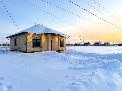 Дом в Татарстан, Лаишевский район, с. Сокуры Дачная ул. (95 м)