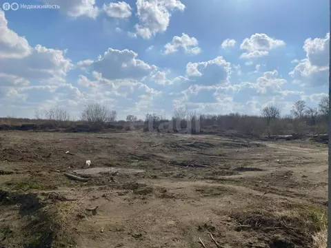 Участок в Фирсово, Яркая улица (8.38 м)