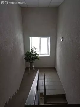 3-комнатная квартира: Новосибирск, Воскресная улица, 37 (73.9 м)