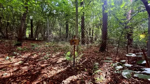Участок в Москва Сосенки коллектив индивидуальных застройщиков,  (6.84 ...