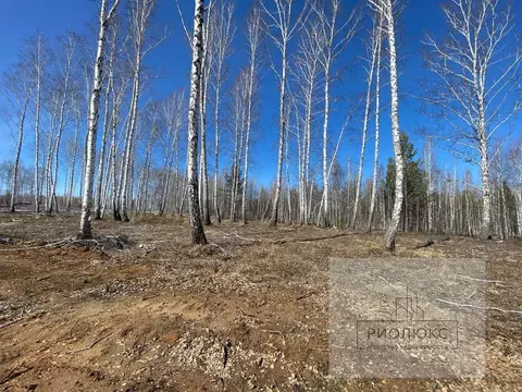 Участок в Челябинская область, Сосновский район, Кременкульское с/пос, ...