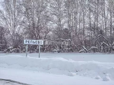 Участок в Новосибирская область, Тогучинский район, Репьевский ...