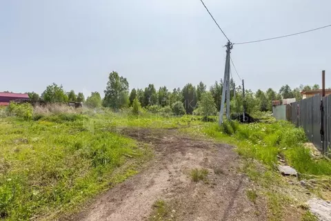 Участок в Тюменская область, Тюмень Якорь садовое товарищество, ул. ...