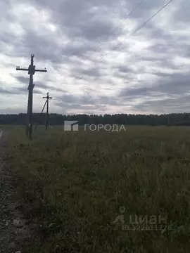 Участок в Алтайский край, Первомайский район, с. Октябрьское ул. ...