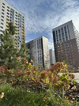 1-к кв. Воронежская область, Воронеж ул. Пескова, 3 (33.4 м)