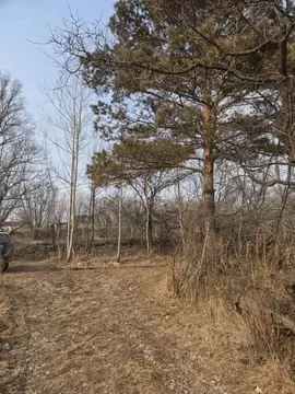 Участок в Хабаровский край, Хабаровск ул. Остон-1 (5.0 сот.)