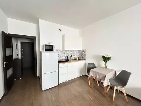 Студия Санкт-Петербург аллея Арцеуловская, 23к1 (24.5 м)