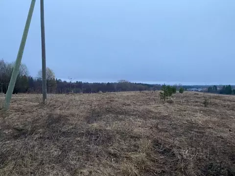 Участок в Пермский край, Пермский муниципальный округ, Деревенский ...