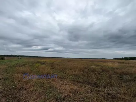 Участок в Самарская область, Красный Яр с/пос, пос. Кириллинский, ...