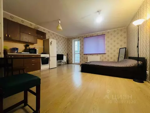 Студия Башкортостан, Уфа ул. Евгения Столярова, 4А (30.0 м)