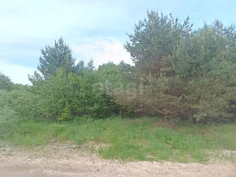 Участок в Нижегородская область, Богородский муниципальный округ, д. ...