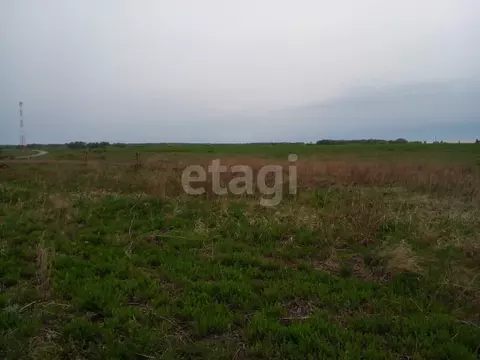 Участок, 13.5 сот., поселения (ижс)
