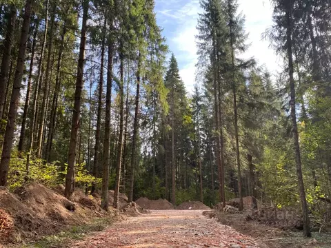Участок в Московская область, Одинцовский городской округ, Рига лес кп ...