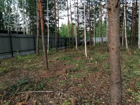 Участок в Свердловская область, Белоярский муниципальный округ, Мешков ...