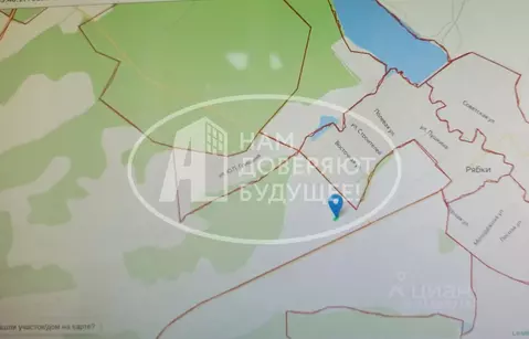 Участок в Пермский край, Чернушинский городской округ, с. Рябки  (18.0 ...