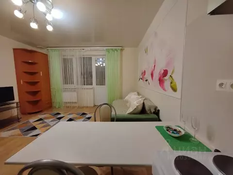 Студия Владимирская область, Владимир ул. Кулибина, 10 (25.0 м)