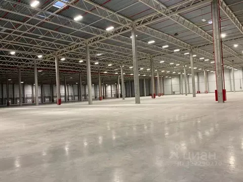 Склад в Московская область, Пушкино Ярославское ш., 228 (15000 м)