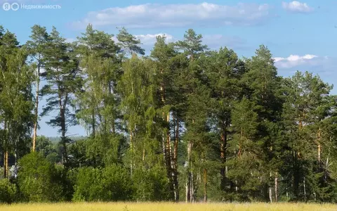 Участок в Московская область, городской округ Ступино, КП Живописный ...